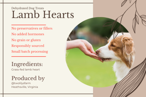 Product benefit list of dehydrated lamb heart dog treats with a dog