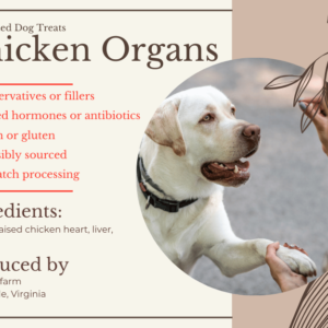 Product benefit list of dehydrated lchicken organ dog treats with a dog