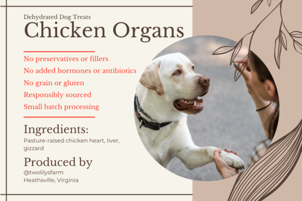 Product benefit list of dehydrated lchicken organ dog treats with a dog